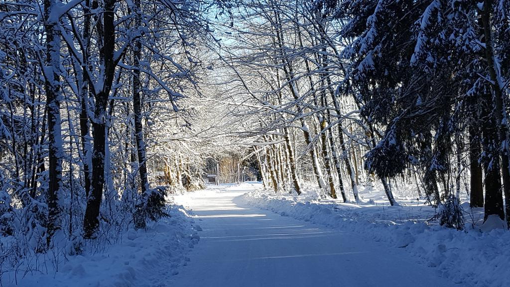 Harz Blick Appartement Braunlage Buitenkant foto