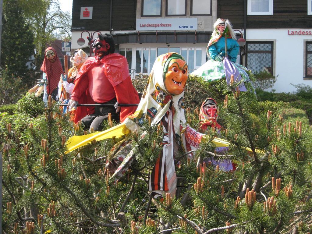 Harz Blick Appartement Braunlage Buitenkant foto
